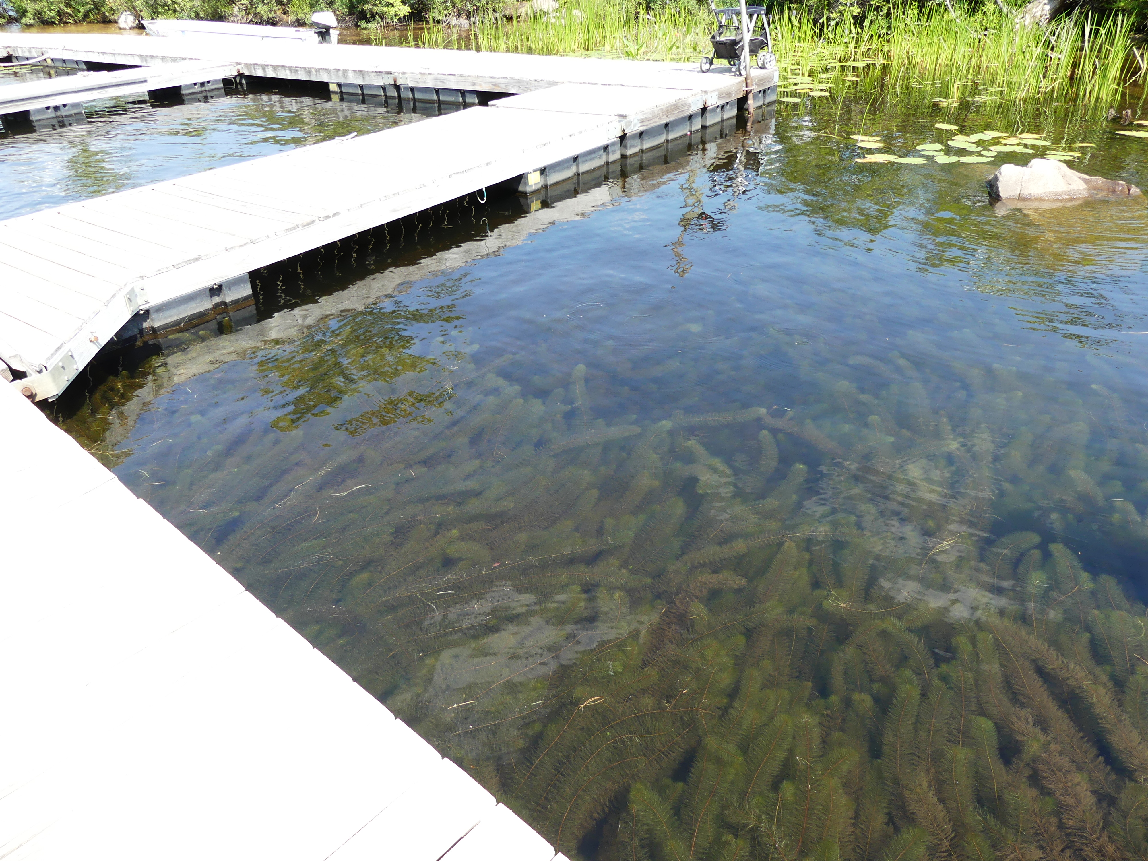 Wollaston Lake Home & Cottage Association